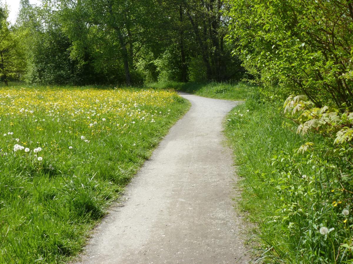Ferienwohnung In Kempten Am Stadtweiher Kültér fotó